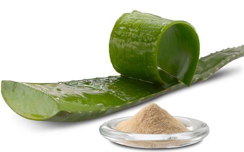 polvo de aloe vera