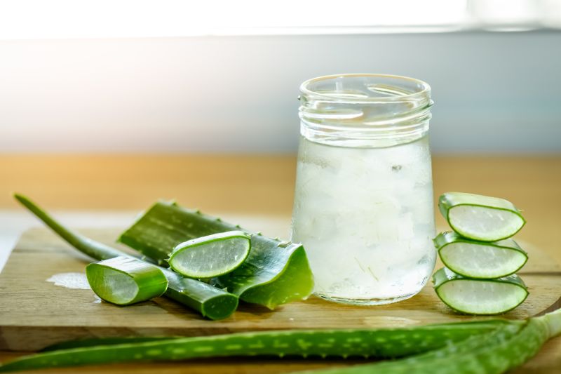 depurativo aloe vera