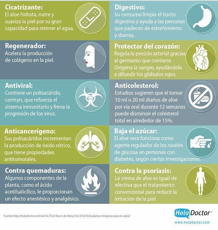 beneficios aloe vera