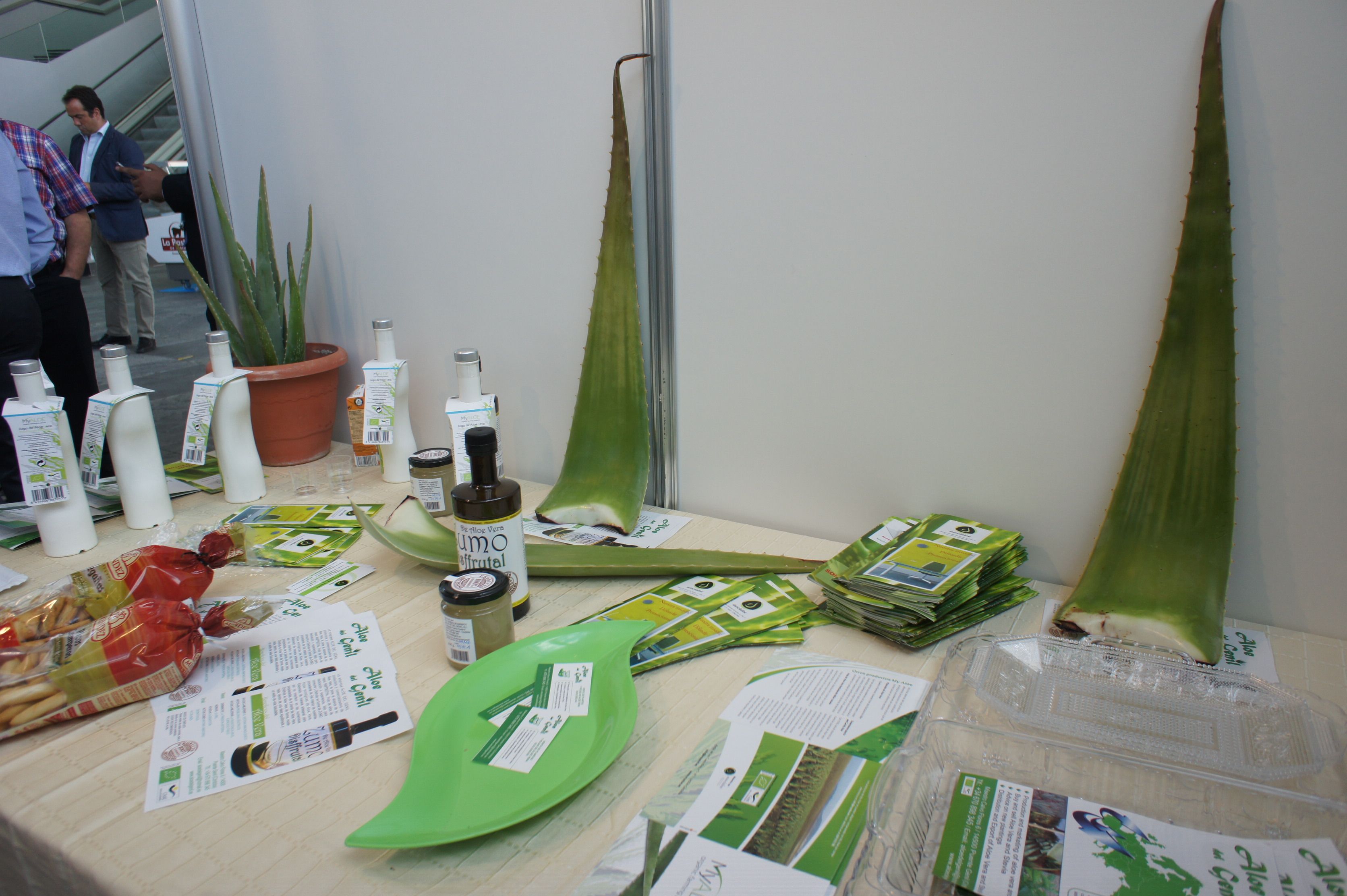 productos aloe vera