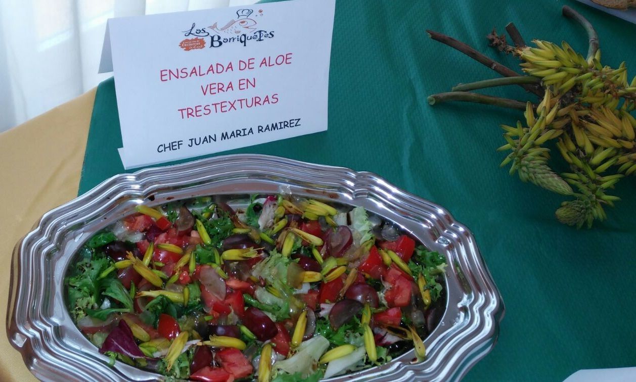 Ensalada de aloe vera en tres texturas.