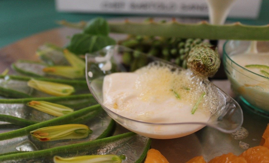 receta con aloe vera