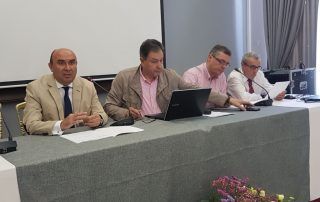 Asamblea Asocialoe