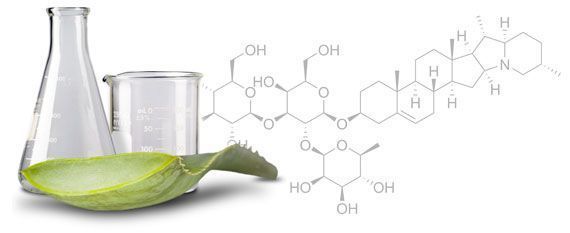 investigaciones sobre el aloe vera