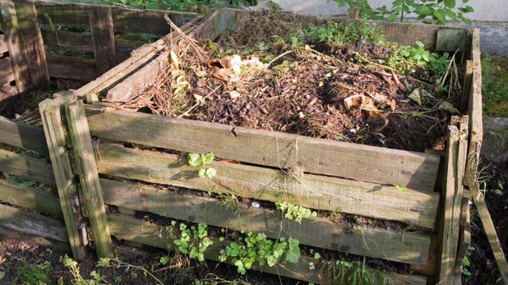 Compost
