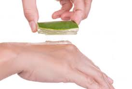 Aloe vera y la cicatrización