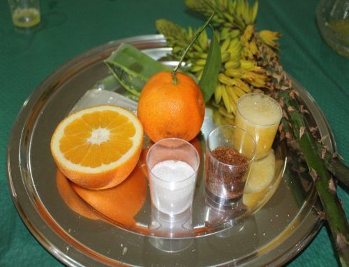 Receta con Aloe vera: zumo de Aloe vera anaranjado