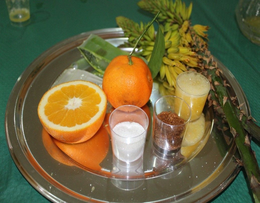 Receta zumo de aloe vera anaranjado