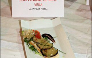 Receta Aloe Vera Los Borriquetes