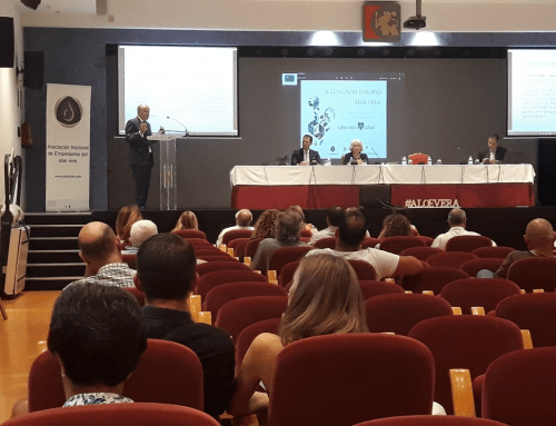 Razones para el emprendimiento en el sector del Aloe vera