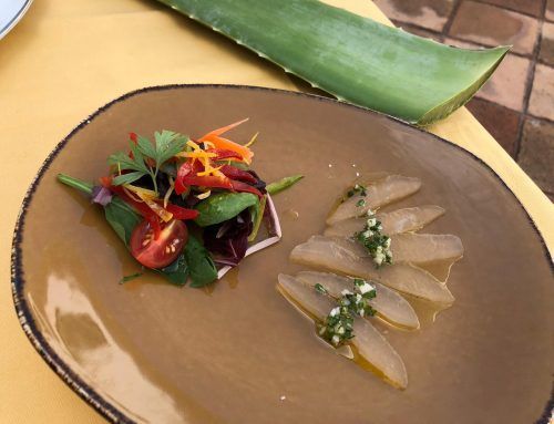 Receta con Aloe vera: falso boquerón de Aloe vera