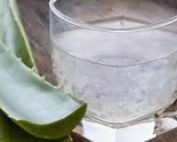 Aloe vera