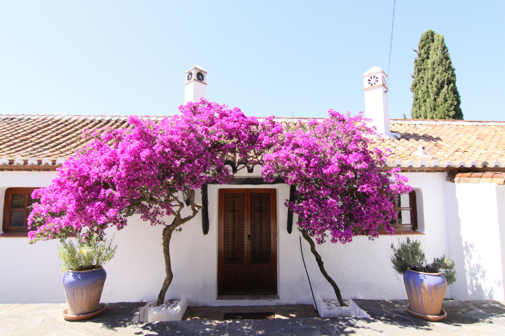 santaverde