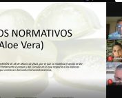 reglamento europeo aloe vera