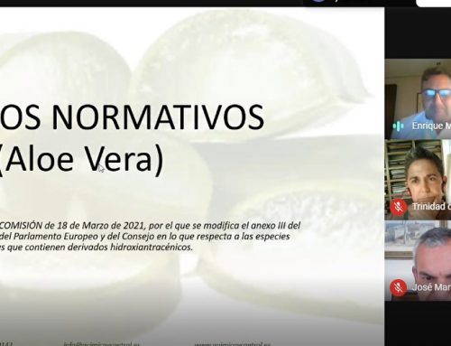 El Aloe vera español es seguro para el consumidor y de gran calidad