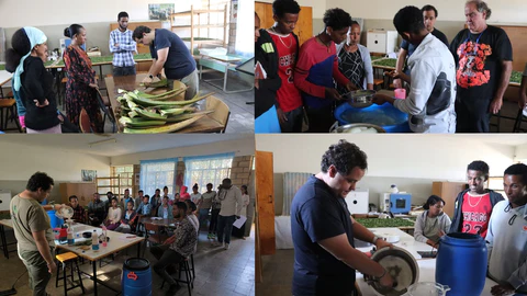proyecto Etiopía Aloe Las Coronas